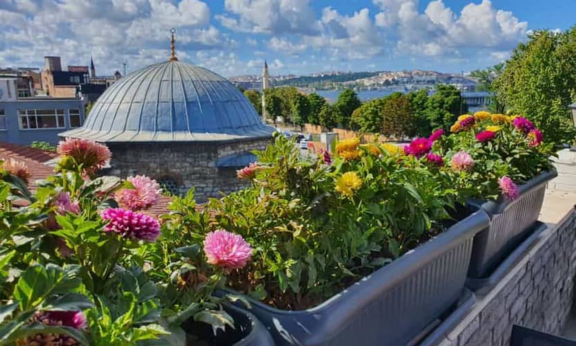 Istanbul Visite Privée Guidée avec Guide Licencié 4