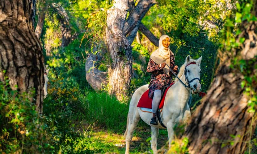 Antalya Horseback Riding on Shaded Forest Tracks to the Coast 5