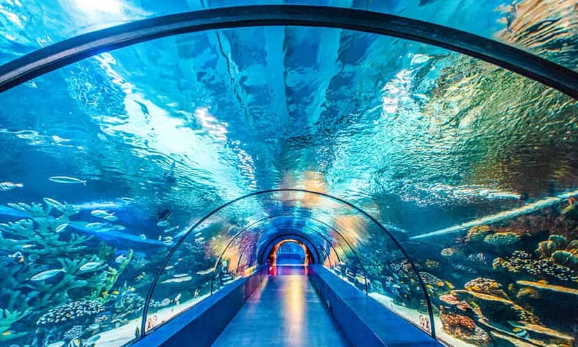 Antalya Aquarium Entry and Shark Tunnel Walk with Hotel Transfer 3
