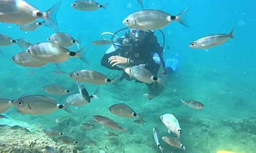 Kemer Diving Tour Departing from Antalya: 2 Dives, Transfer and Meal 4