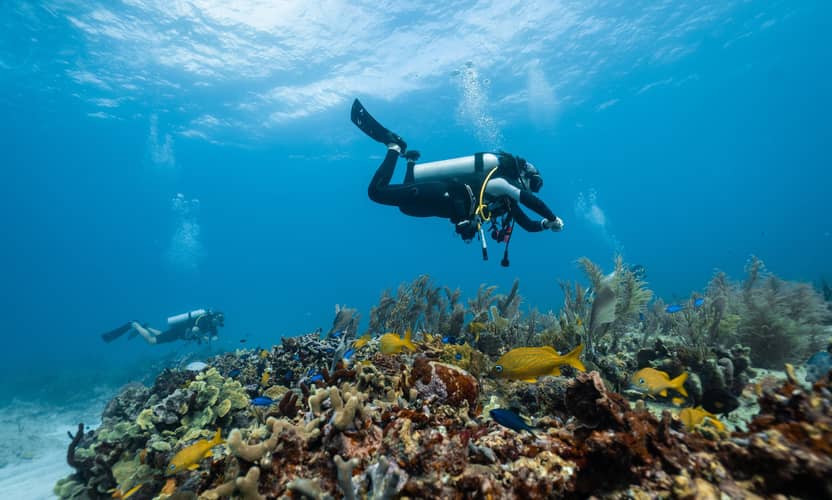 Alanya Scuba Diving Tour with Lunch and Transfer Included 3