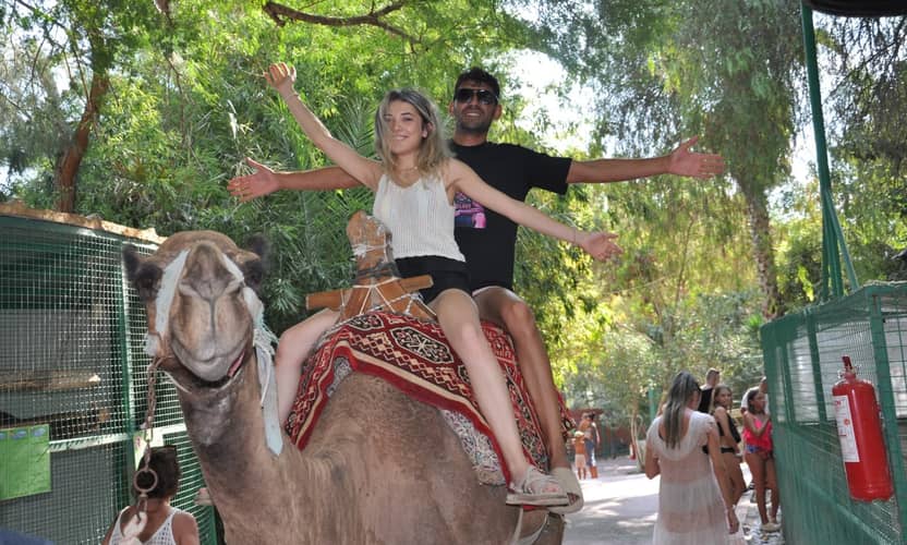 Best Alanya Mix Safari Tour, Zoo Visit and Green Lake Boat Trip 5