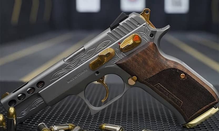 Alanya Shooting Range: 30 Rounds with a 9 mm Pistol and Transfer 5