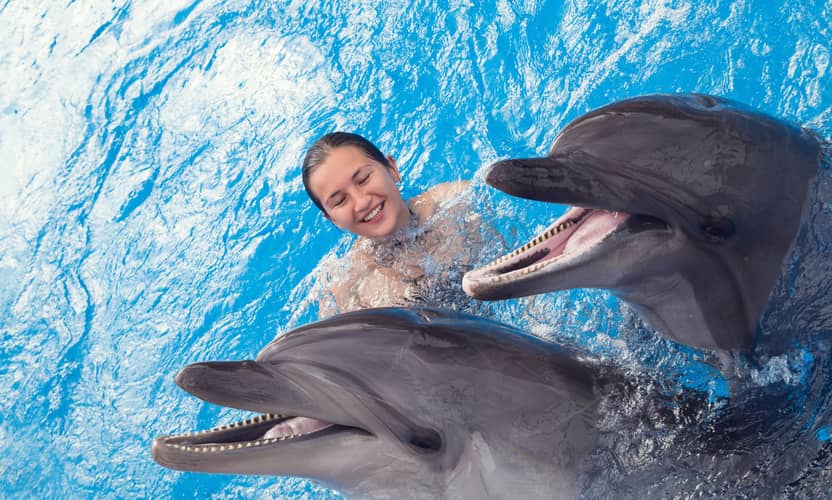 Swim with Dolphins in Alanya: Premium Tour with Transfer 5